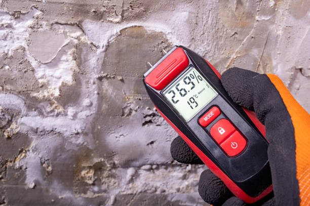 Best Attic Mold Remediation in North Brooksville, FL