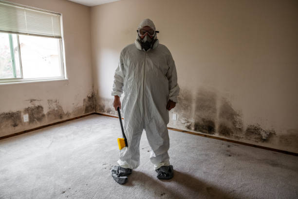 Best Crawl Space Mold Remediation in North Brooksville, FL